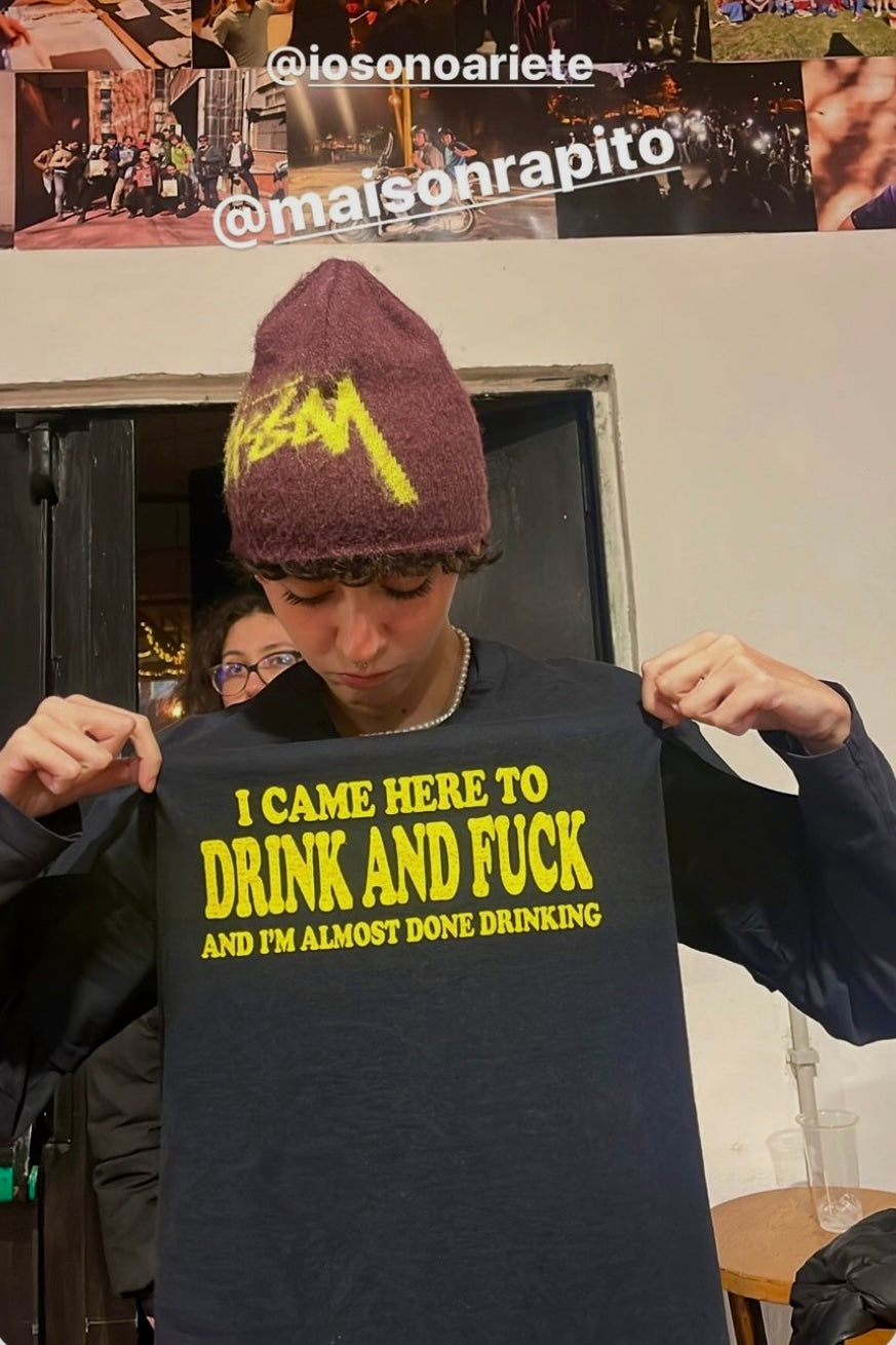 I Came Here to Drink and Fuck Tee