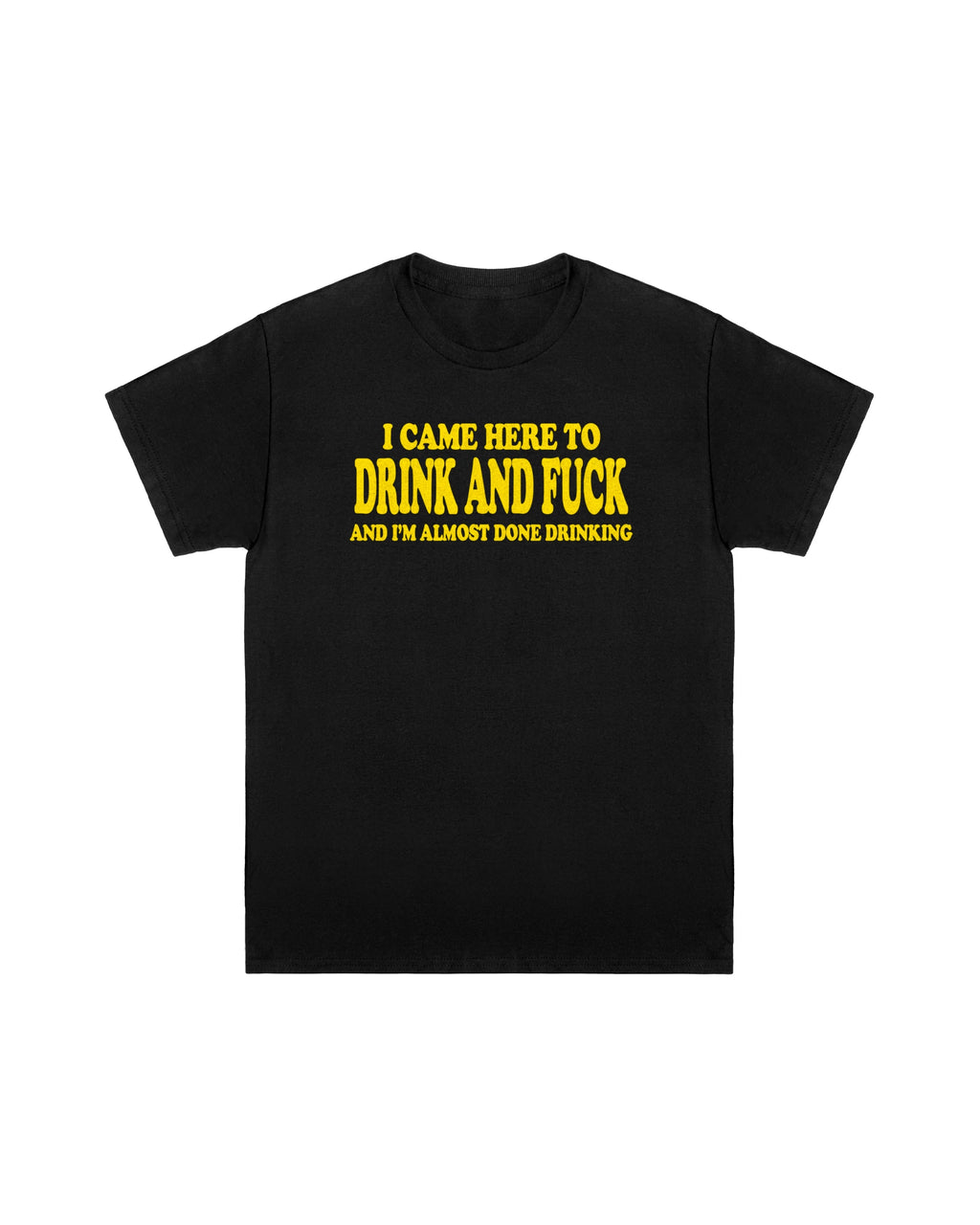 I Came Here to Drink and Fuck Tee