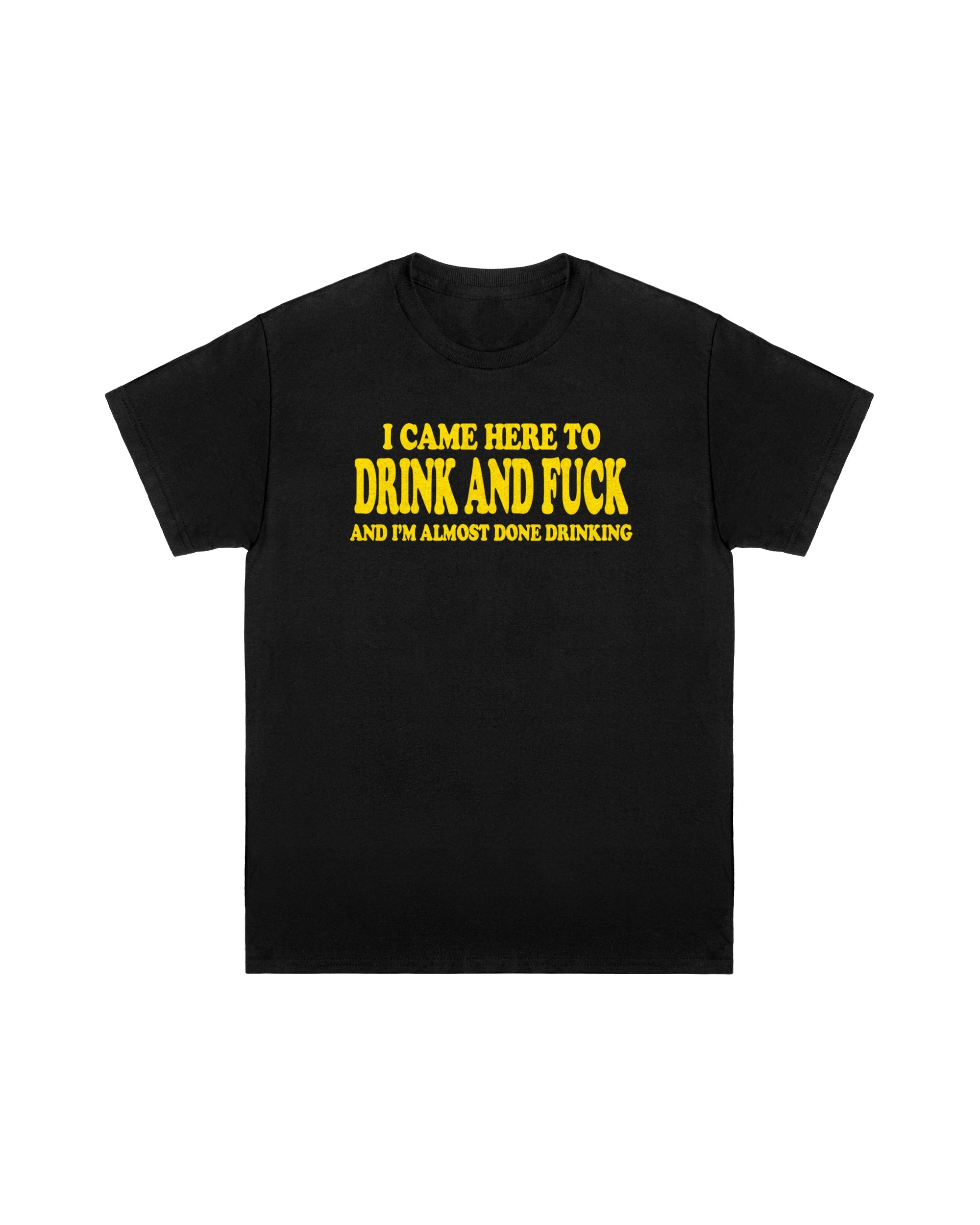I Came Here to Drink and Fuck Tee