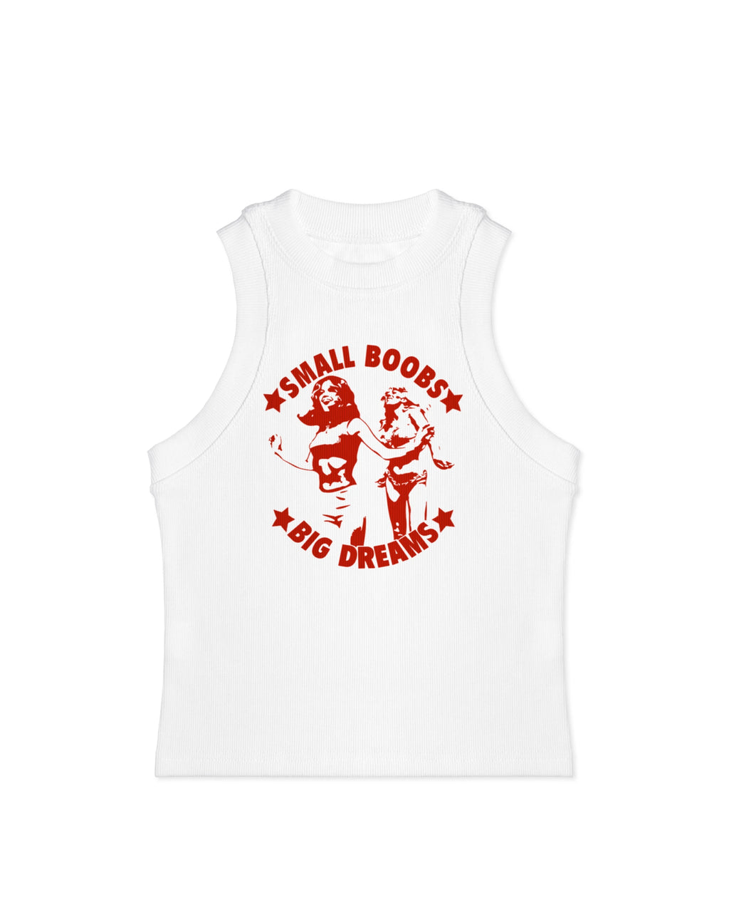 Small Boobs Big Dreams Tank Top