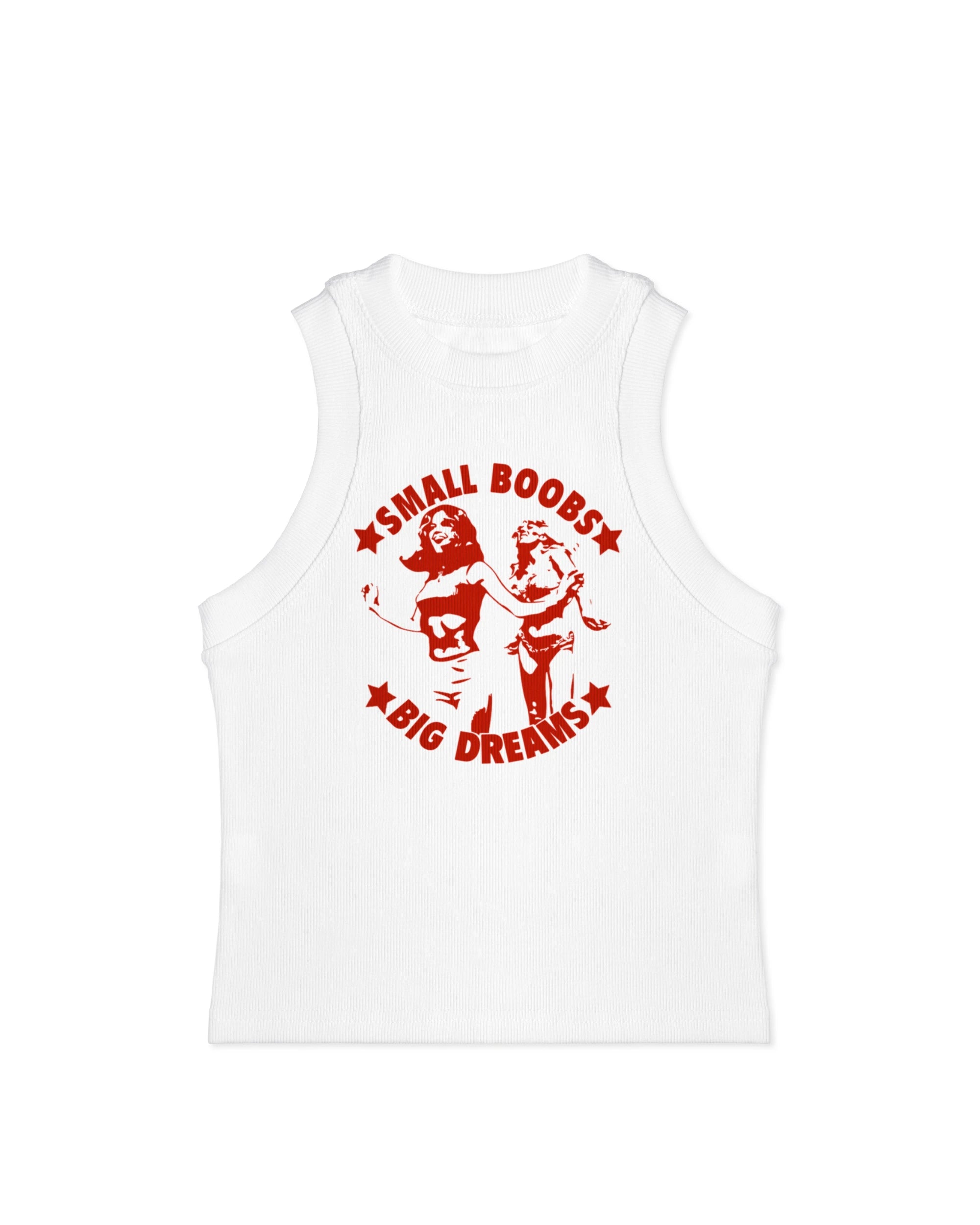 Small Boobs Big Dreams Tank Top